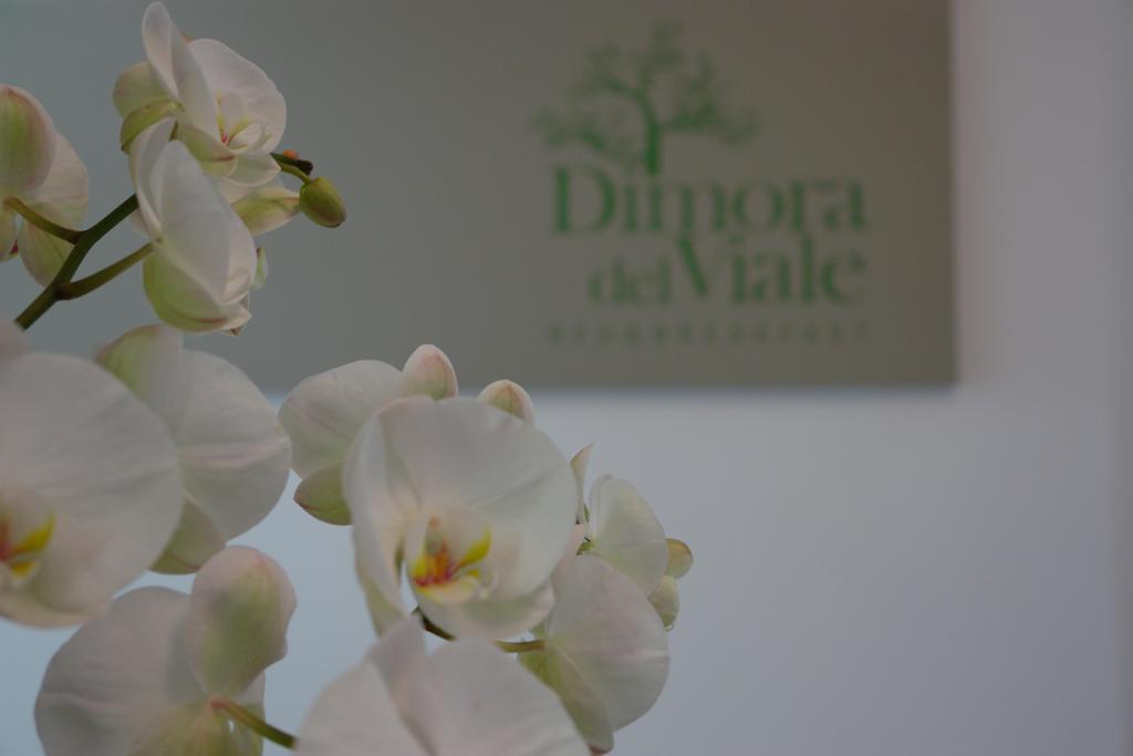 阿格里真托Dimora Del Viale住宿加早餐旅馆 外观 照片